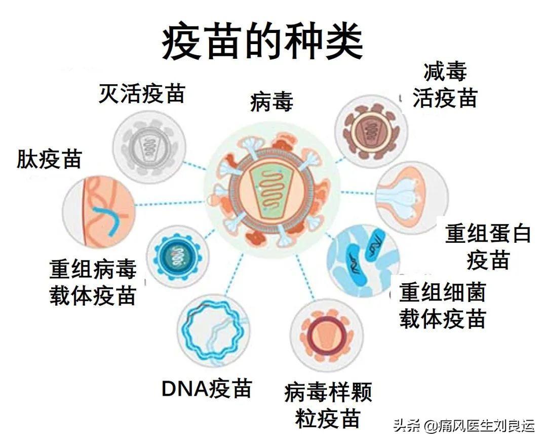 信息技术咨询服务 第174页