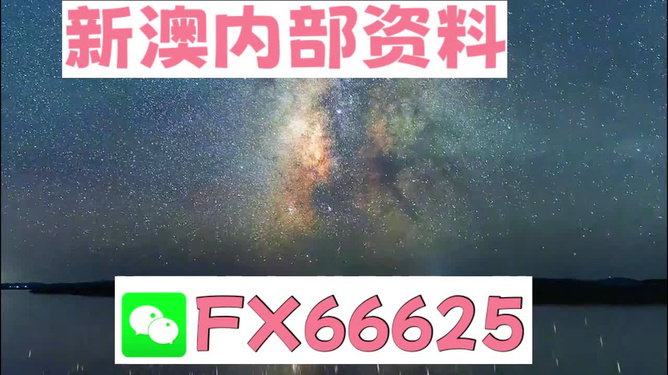 2024新澳天天资料免费大全,准确资料解释落实_专业版43.207