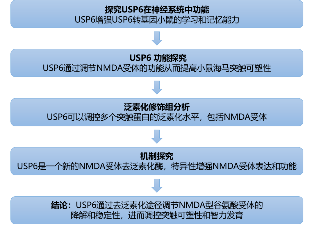 信息技术咨询服务 第61页