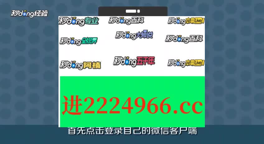 王中王一肖一特一中一澳,战略方案优化_BT70.901