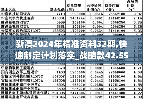 新澳精准资料2024第5期,高效实施设计策略_Deluxe25.437