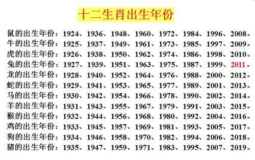 2024十二生肖49码表,最新解答解释定义_8DM58.652