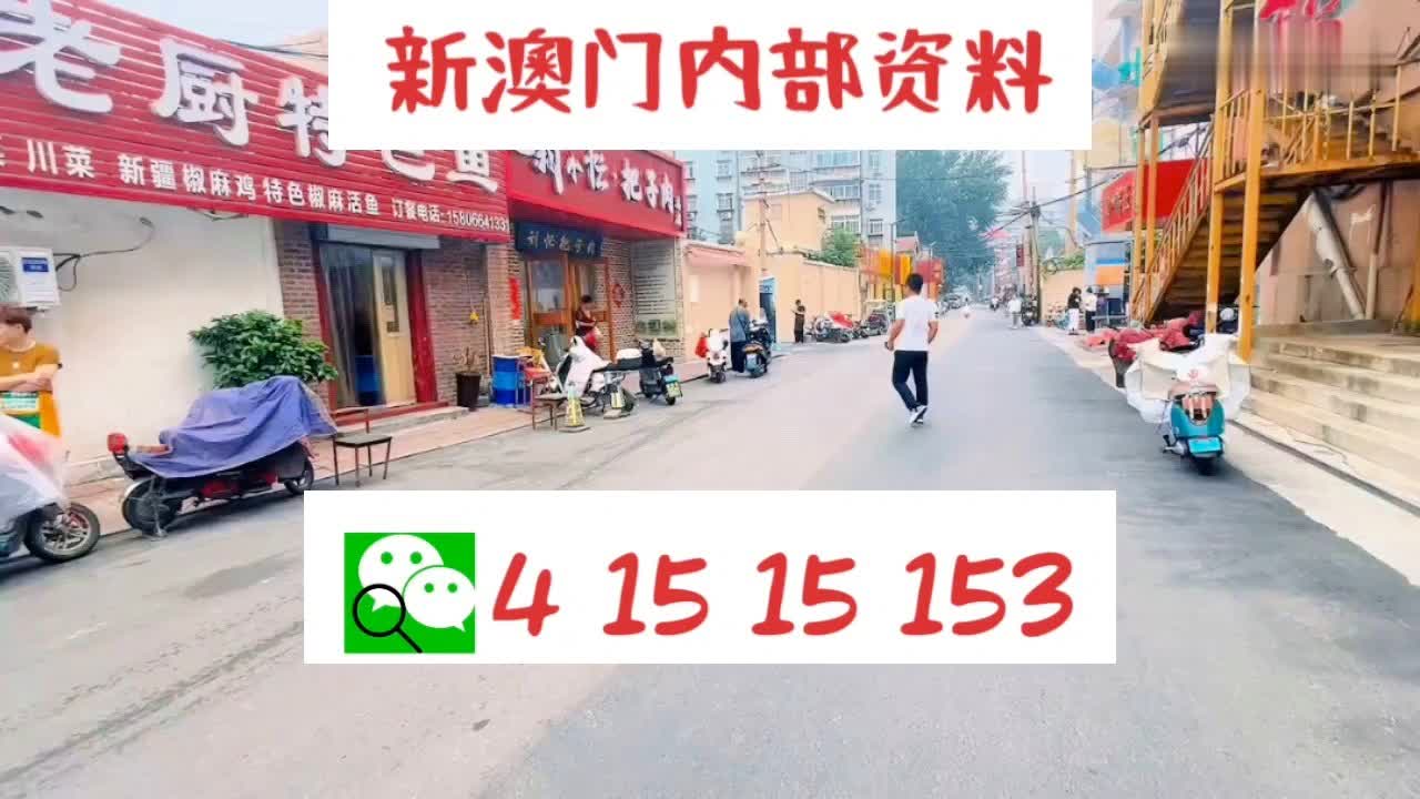 新澳门正版资料大全,快速解答方案执行_潮流版77.813