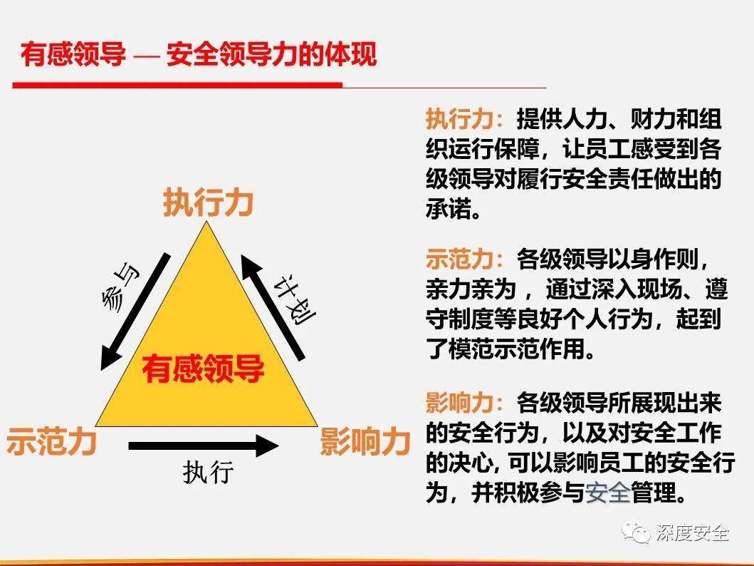 最新管理感悟，探索现代管理之道的奥秘与智慧