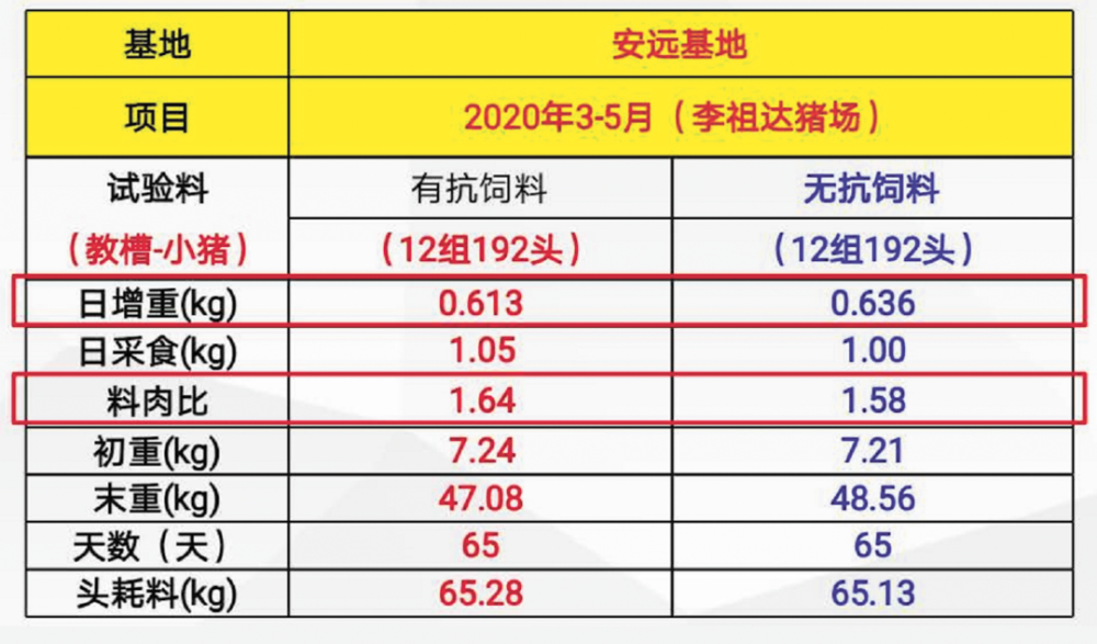 2024澳门今晚开什么生肖,实地策略验证计划_经典款47.60