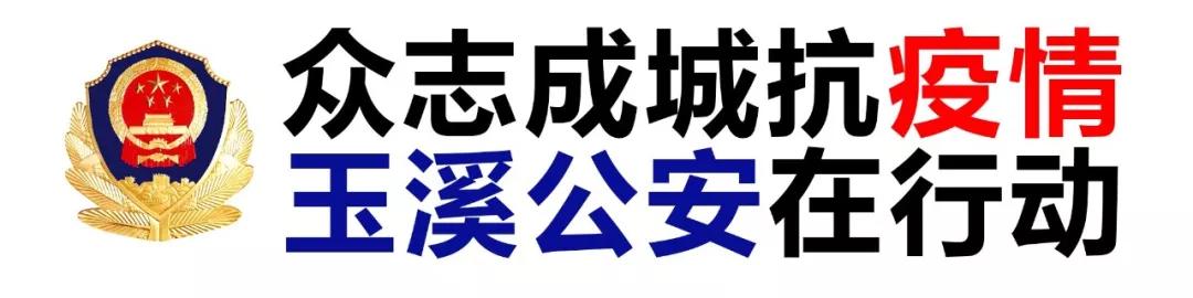 玉溪市疫情最新动态分析简报