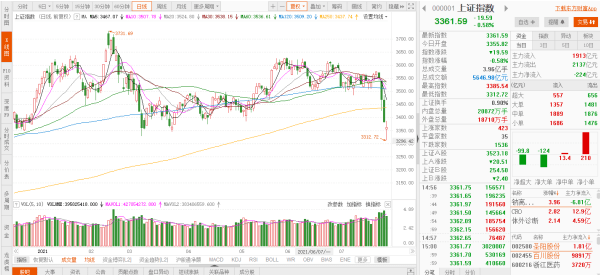 新澳天天开奖资料大全1052期,现象分析解释定义_专业版53.367