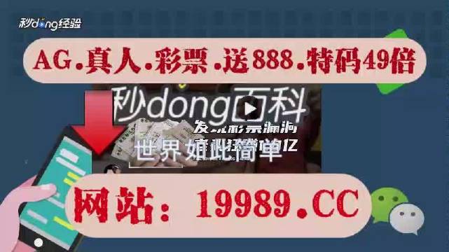 2024新澳门天天开奖攻略,准确资料解释落实_Q60.379