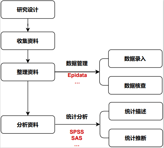 新奥天天正版资料大全,实地数据验证策略_进阶版77.513