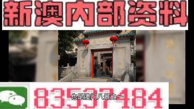 2024澳门精准正版免费大全,动态词语解释落实_4DM53.502