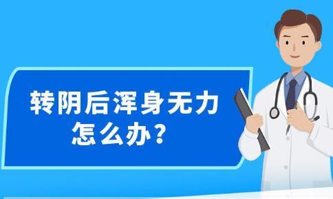 新澳精准资料免费提供安全吗,正确解答落实_NE版44.961