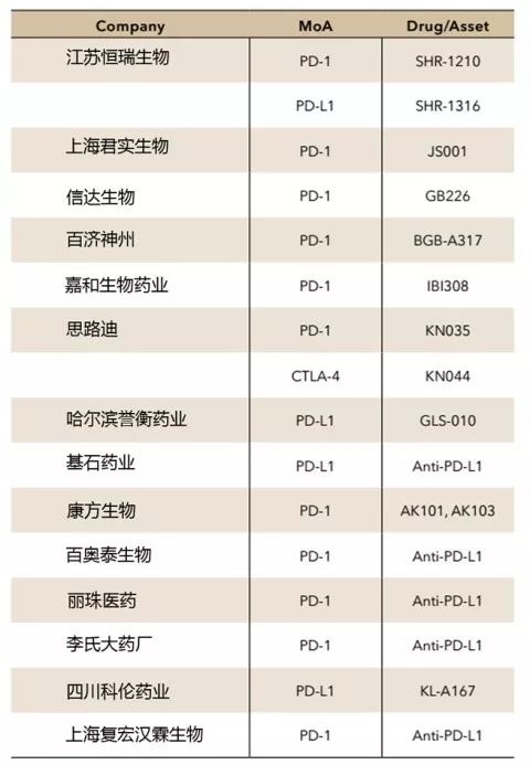 2024新奥精准资料免费大全,未来解答解析说明_MP76.98