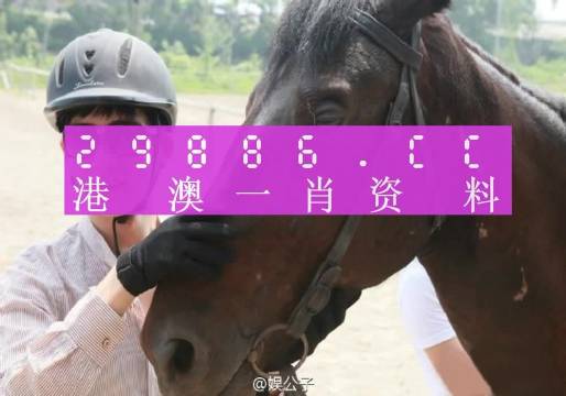 澳门一肖一码一必中一肖,诠释解析落实_苹果57.648