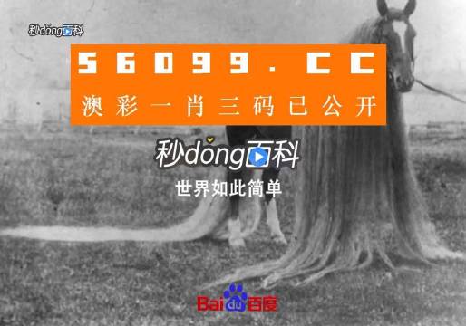 澳门一肖一码一必中一肖同舟前进,数据决策执行_SHD93.539