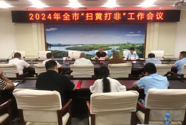 揭秘2024扫黄打非最新动态，深化行动，共建清朗网络家园