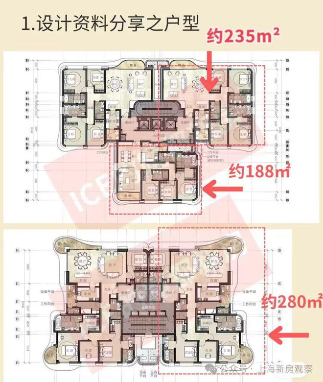 赵又廷2024最新动态展望，未来之星的发展轨迹