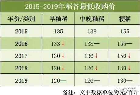 水稻最新价格行情分析与预测