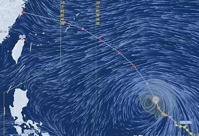 关于台风动向的深度解析，最新台风消息（2024年）